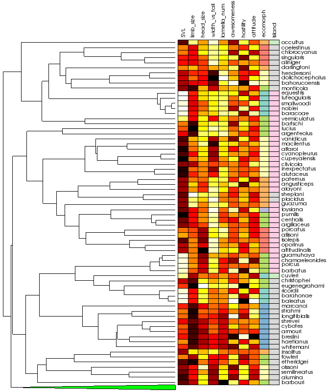 example of vtkTreeHeatmapItem