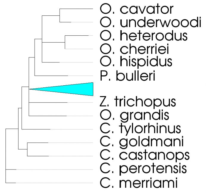 example of vtkDendrogramItem