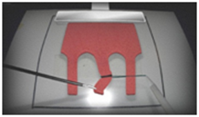 VBLaST simulates loop ligation. (RPI)