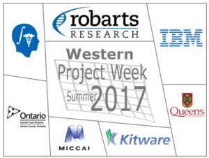 Image shows a collage of trapezoids, with the largest one in center saying western project week summer= 2017, surrounded by smaller ones showing sponsors names and logos. kitware is at bottom, center-right