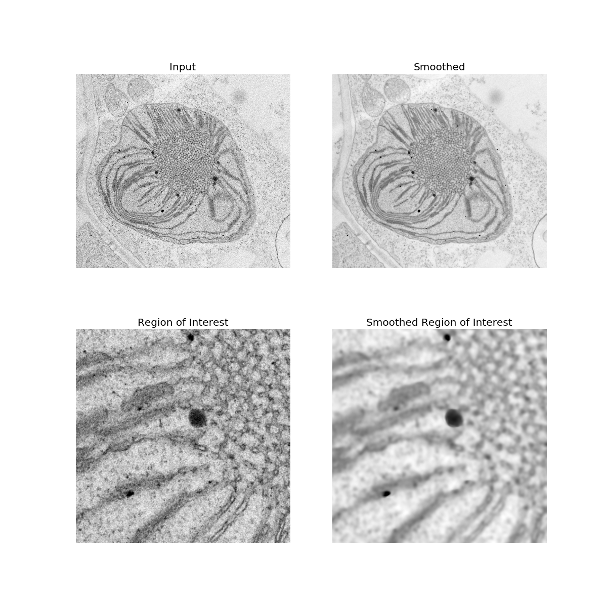 Edge-preserving Image Smoothing in Python