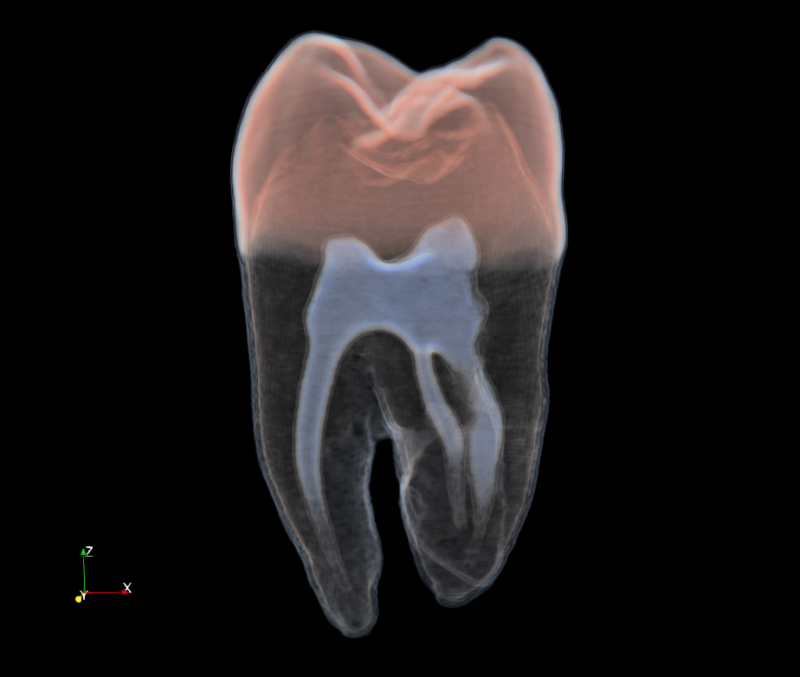 New in ParaView 5.9: Volume rendering with a separate opacity array