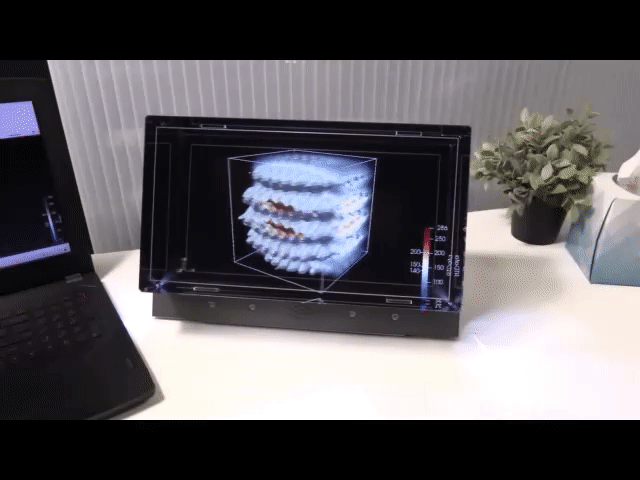 Looking Glass Factory and Kitware: Desktop Holographic Displays Driven ...
