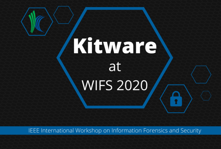 Kitware At WIFS 2020
