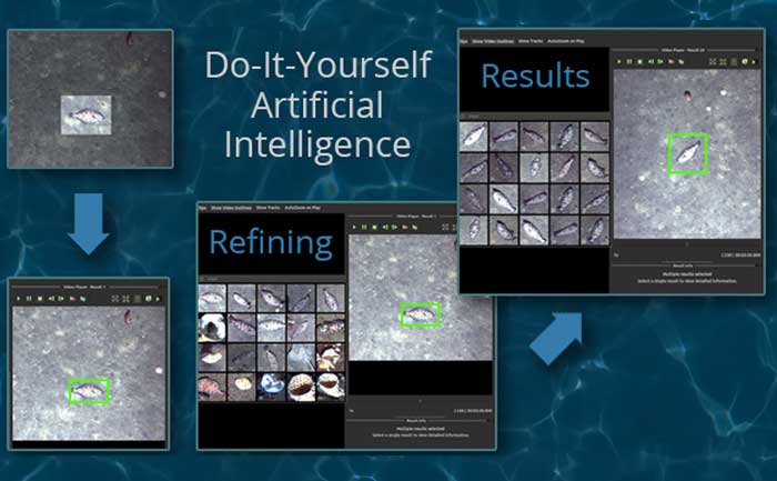 Interactive Do-It-Yourself Artificial Intelligence