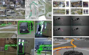 Dataset Collection and Annotation