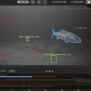 computer identifying types of marine life