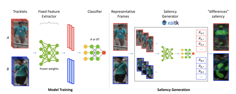 Model training and saliency generation. (Left) Tracklets A and B are used as input to a fixed feature extractor to generate chip-level features. A binary classifier is trained on these features to predict the probability of a chip belonging to tracklet A or B. (Right) A representative chip from each tracklet is fed into the saliency generator provided by the Explainable AI Toolkit (XAITK), which outputs the final “differences” saliency. At a high-level, the saliency generator masks out regions of the input image and inputs those masked images into the trained model and classifier. The computed output probabilities are then weighted-averaged to identify salient regions in each chip that represent the strongest visual differences between the two identities (shown overlaid as green regions).