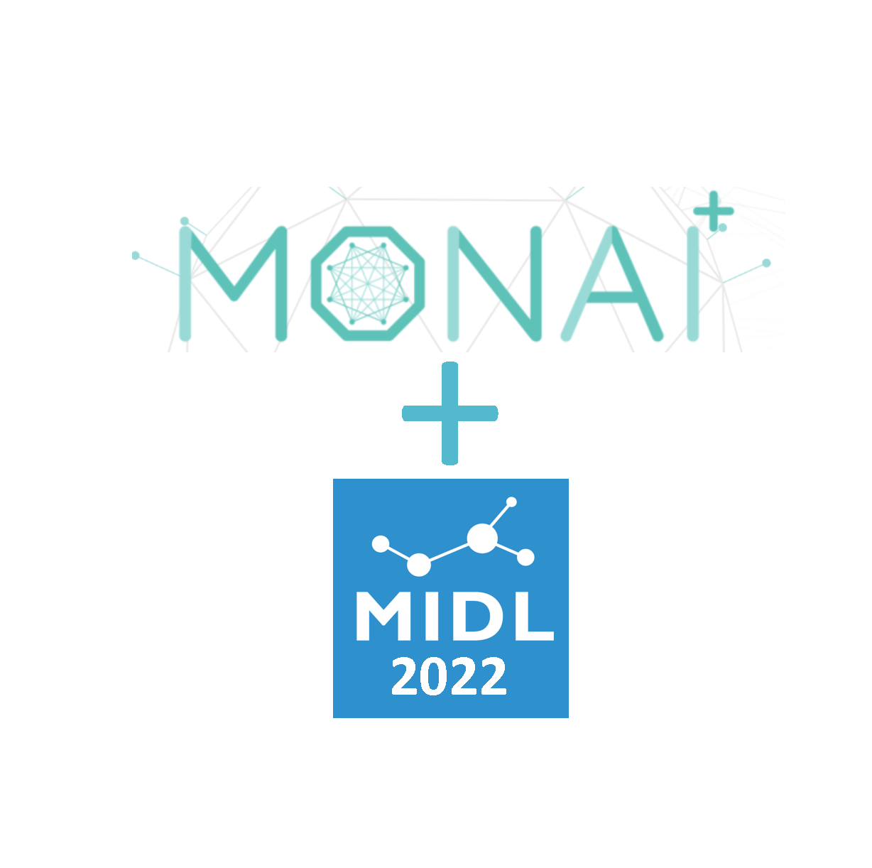 Post MIDL MONAI Meetup 