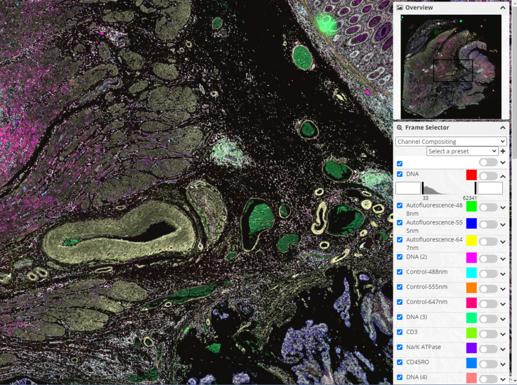 Figure 3: The frame selector in the HistomicsUI interface (also available in the Girder interface) allows selecting and compositing channels, z-slices, and other image details.