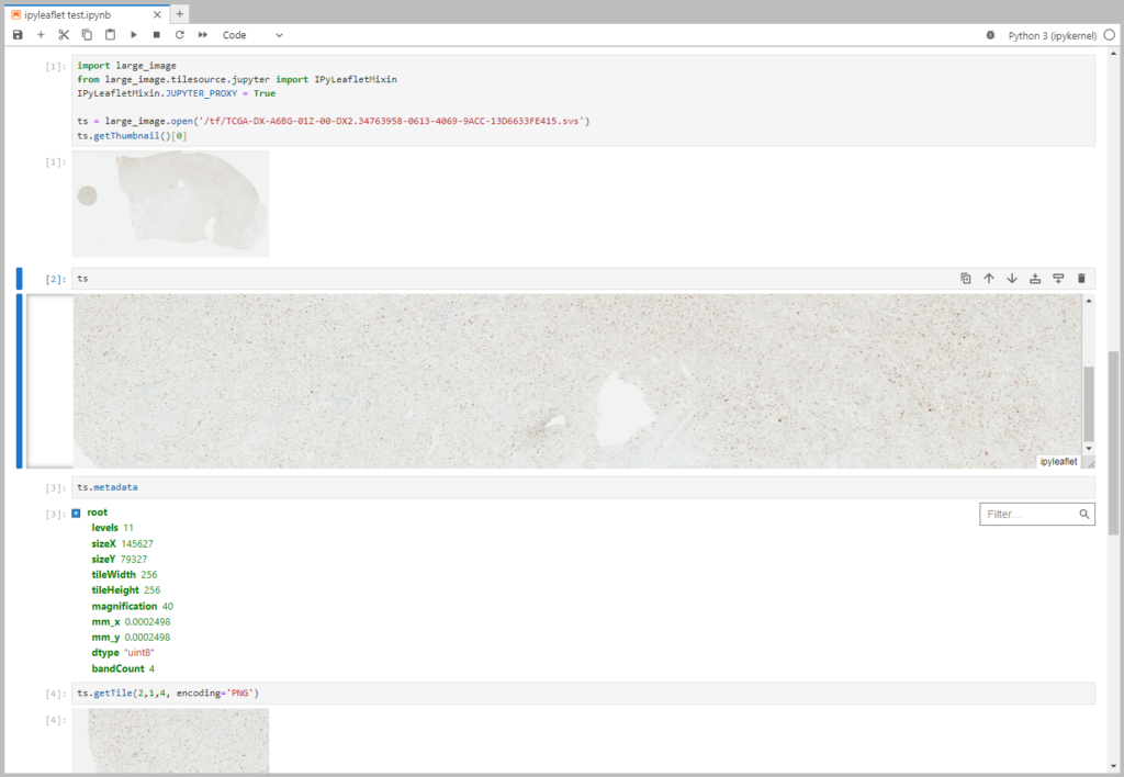 Figure 1: A JupyterLab notebook showing easy access to a zoomable image, thumbnails, and metadata dictionaries.