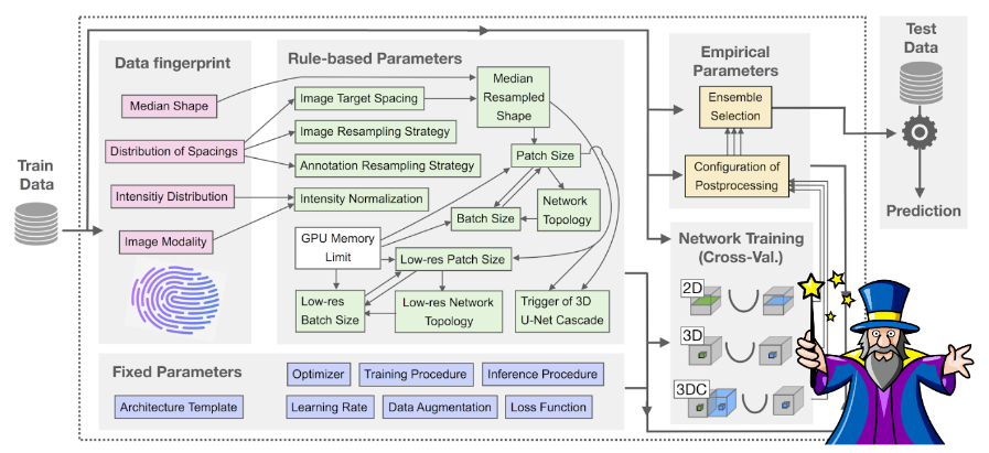 Schematic of nnU-Net pipeline