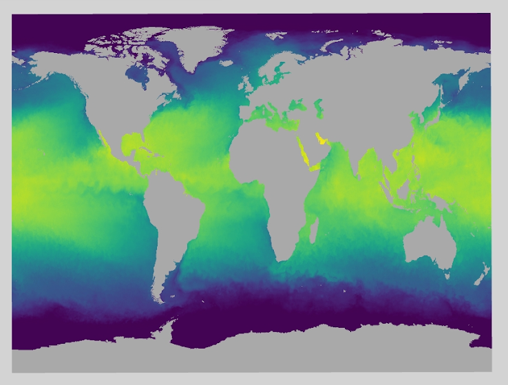 Sea Surface Temperature data from Pangeo Forge