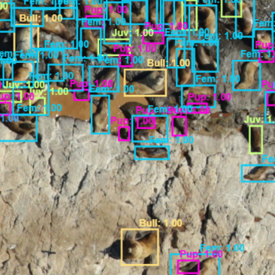 Overhead view of sea bed floor with computer identifying various objects