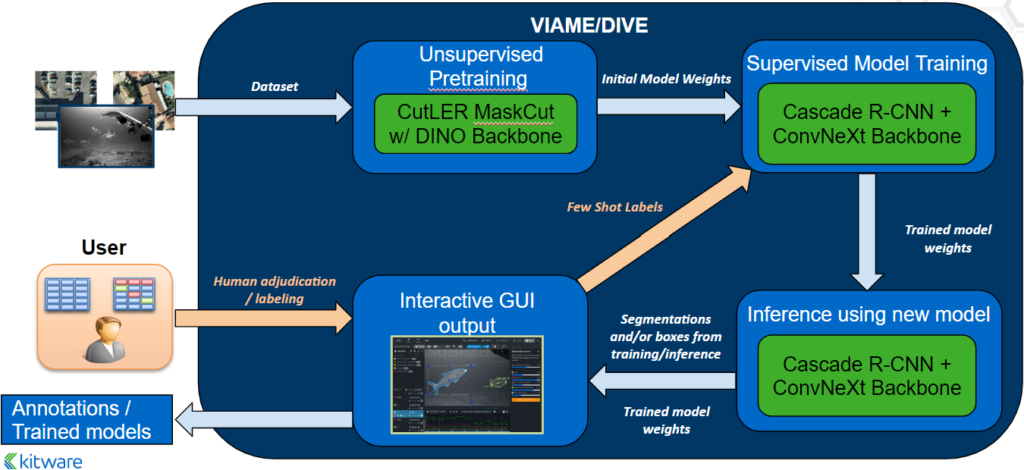 VIAME/DIVE workflow from dataset to unsupervised pretraining to initial model weights to supervised model training
