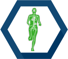 Medical and Biomedical Systems