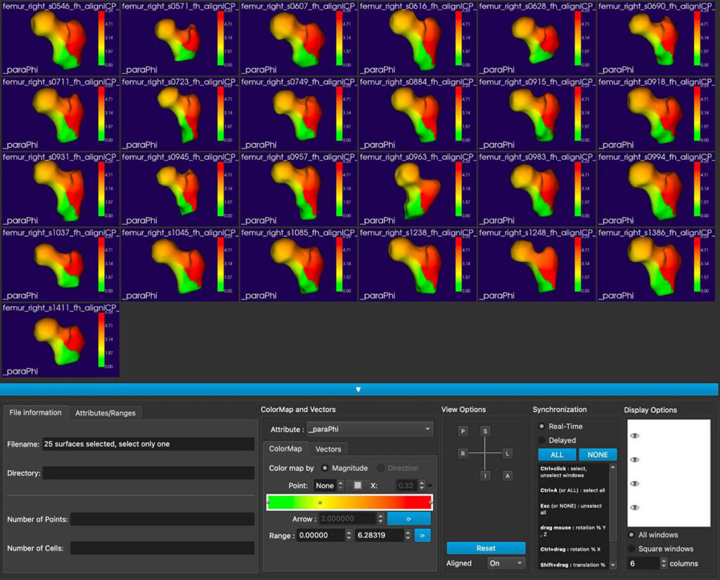 Shape Population Viewer