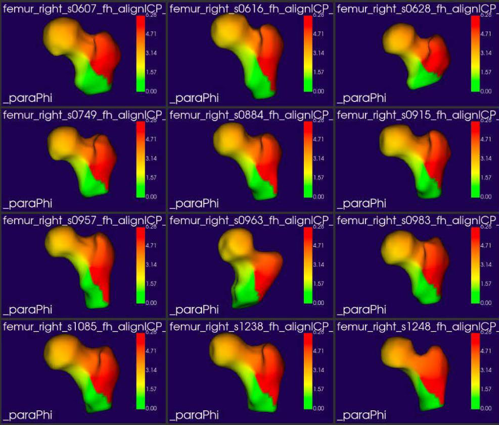 Shape Population Viewer