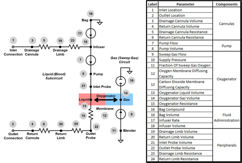 Kitware extended the Pulse Physiology Engine to simulate ECMO’s complex hemodynamic and substance transport processes, enabling digital twin modeling of respiratory and circulatory support. The framework integrates key device parameters and simulates multi-organ interactions to evaluate intervention strategies. Validated against empirical data, the model maintained oxygen saturation above 90% while supporting systemic perfusion in multitrauma scenarios. This open source simulation platform supports data-driven ECMO optimization, informs device design, and lays the groundwork for automated control systems, synthetic data generation, and clinical extensions—advancing readiness for respiratory failure in prolonged and resource-constrained care settings.