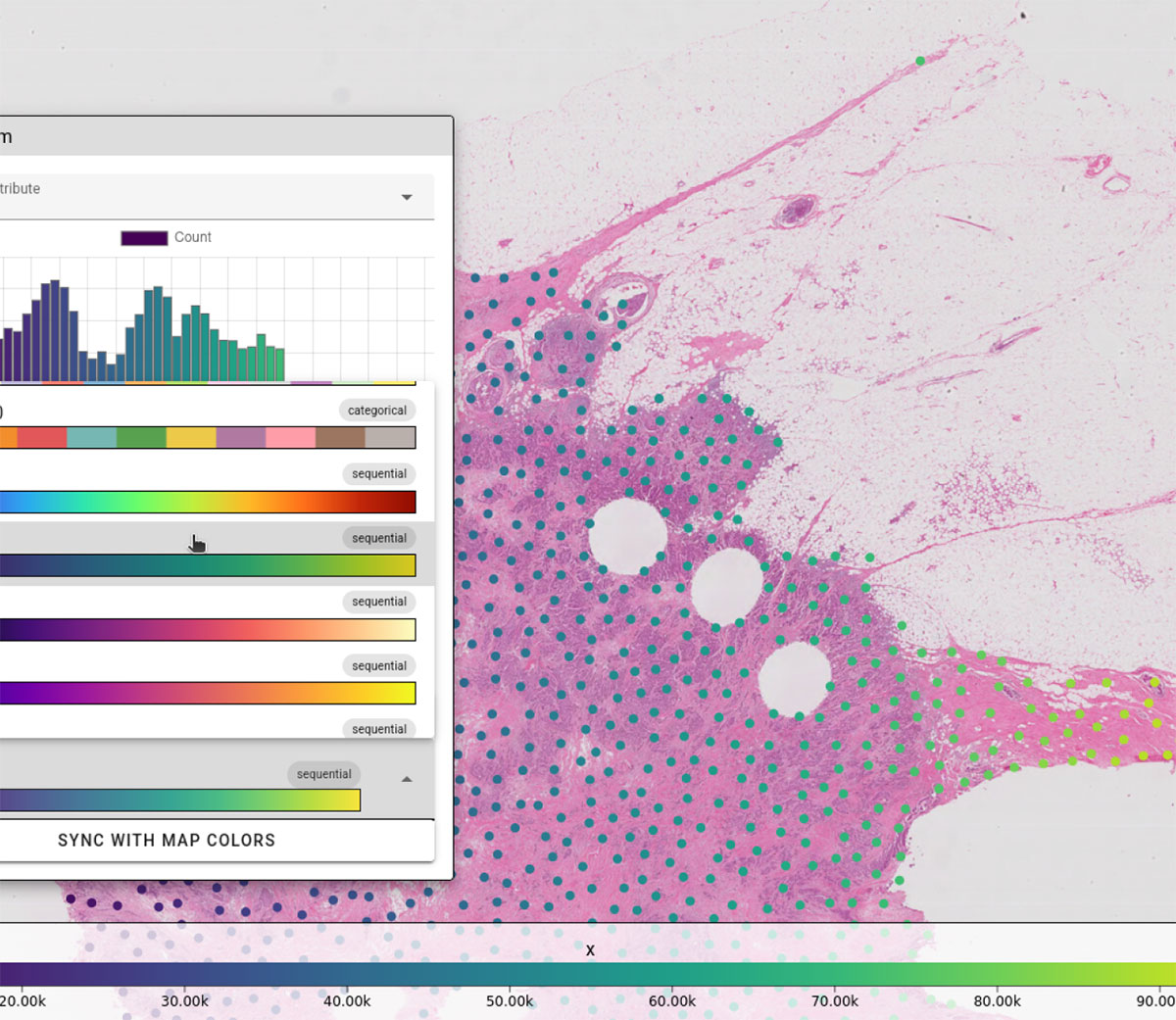 Visualize Raw Image Data to Understand How Your ML Models Think