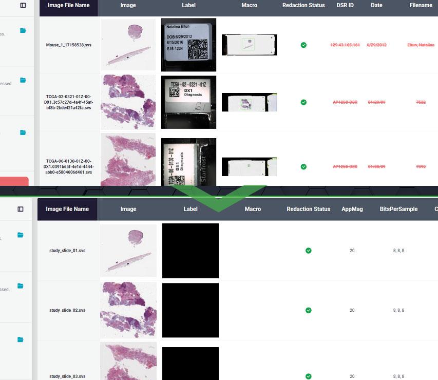 Screenshot with labels being shown and then below it the same screenshot without the labels.