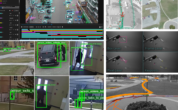Data Annotation & Curation