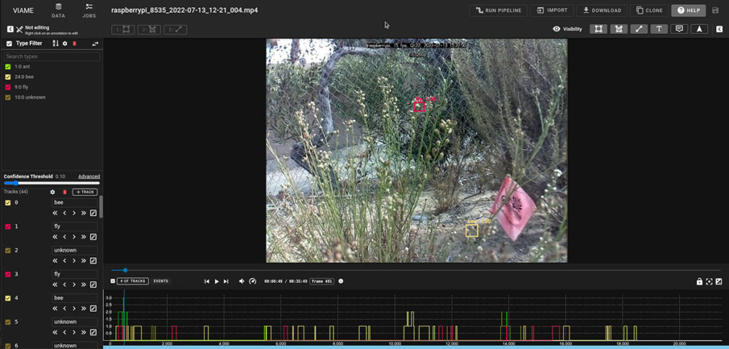DIVE analyzing footage, showing detections and tracks of pollinators as they move across a garden to visit flowers. Educators and scientists use these detections to study pollinator behavior and activity patterns, providing critical data for understanding and protecting ecosystems that sustain the global food supply.