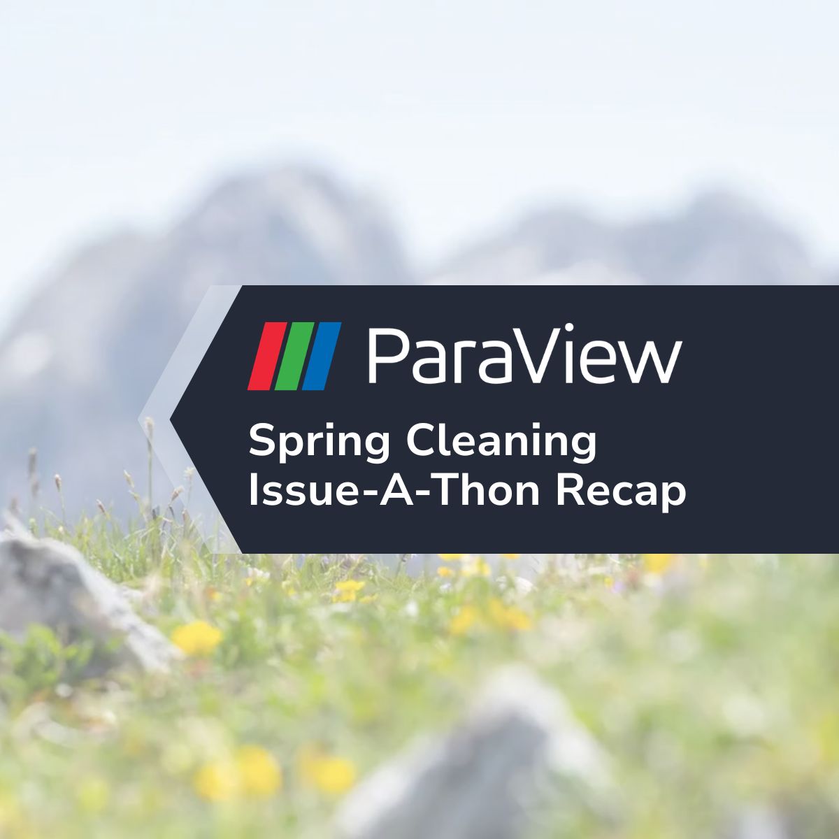 ParaView Spring Cleaning Issua-a-thon Recap