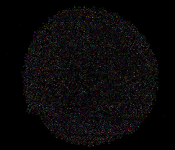 Volumetric x-ray analysis