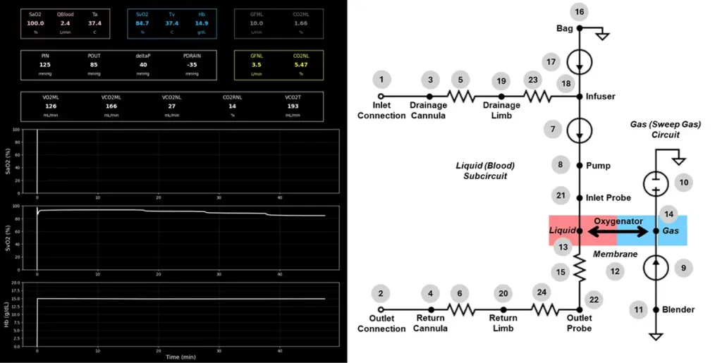 Two-panel graphic showing a medical dashboard and a circuit diagram. The top panel features digital readouts for physiological metrics (such as SaO2, SvO2, and Hb) alongside three corresponding line graphs plotting changes over time. The bottom panel shows a schematic flowchart of an ECMO or blood oxygenation circuit, labeled Liquid (Blood) Subcircuit and Gas (Sweep Gas) Circuit, detailing components like cannulas, a pump, an infuser, and an oxygenator membrane.