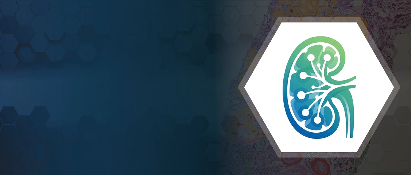 A stylized kidney icon with network nodes inside a white hexagon, set against a dark blue background with a faded microscopic tissue slide.