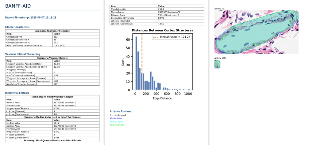Figure 3: Pages 1, 2, and N of a generated report.