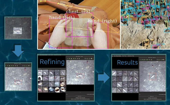 A collage demonstrating computer vision object detection and tracking algorithms across medical training and wildlife video analysis.