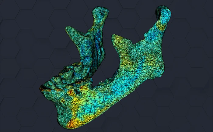 Short Alt Text Color-coded 3D polygon mesh visualization of a human mandible (lower jawbone).