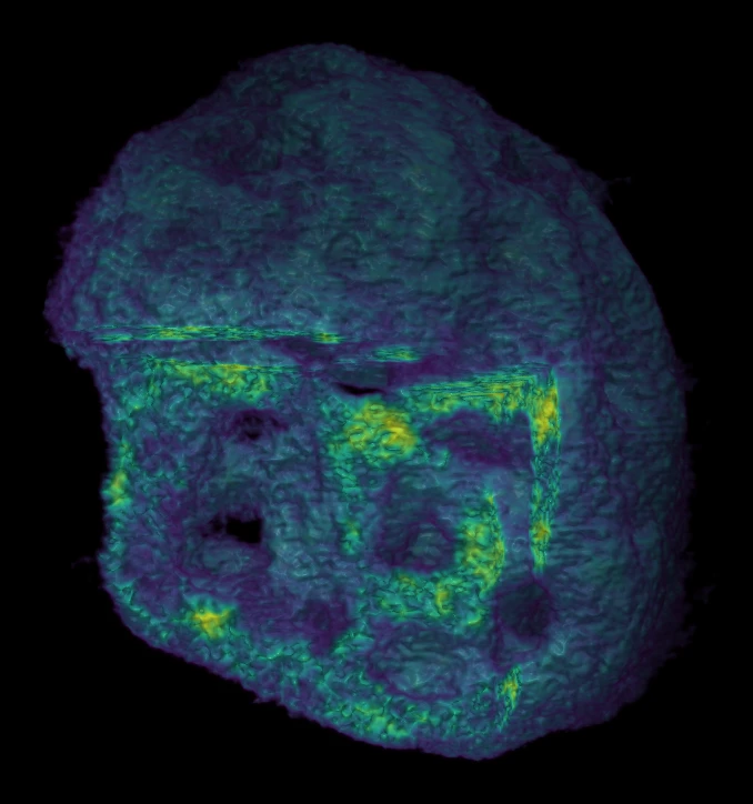 A 3D volumetric reconstruction rendered in Tomviz displaying a porous, irregular spherical biological or nanoscale sample color-coded with a viridis colormap against a black background.